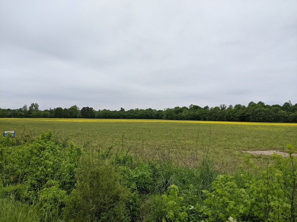 493 Cr, Piggott, AR 72454 Trulia