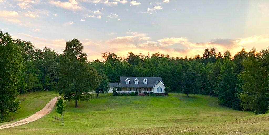 8885 Fernbank Rd, Millport, AL 35576 Trulia