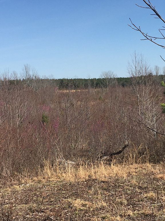 Hadensville Farm Rd, Mineral, VA 23117 Trulia