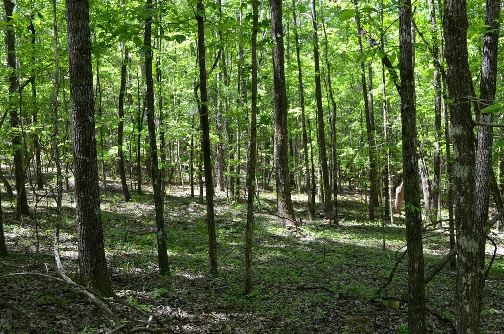 97 Dozier Rd, Wetumpka, AL 36093 Trulia