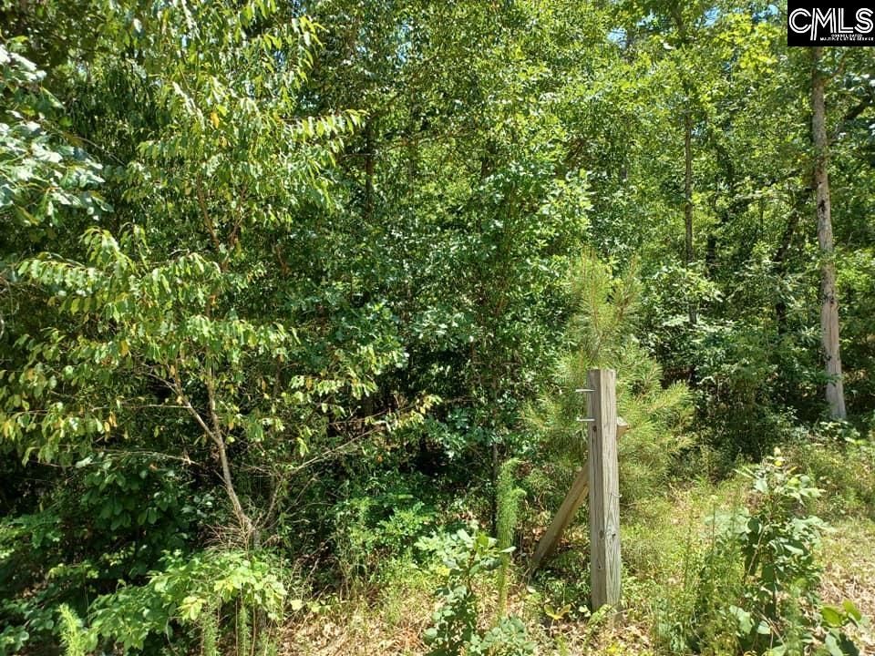 320 Water Tank Rd, Pelion, SC 29123 MLS 558760 Trulia