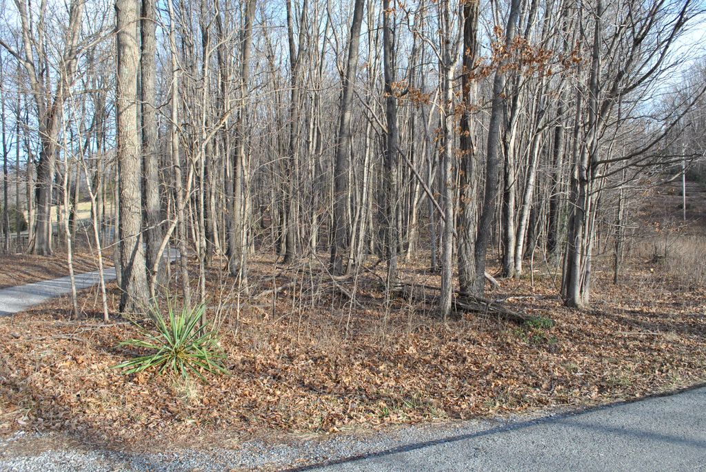 Gravel Hill Rd, Catawba, VA 24070 Trulia