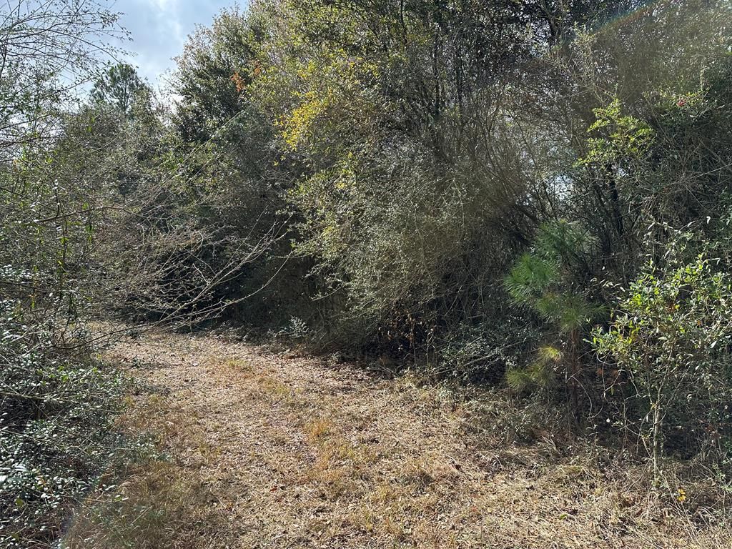 Greenbriar Pl, Lumberton, MS 39455 Trulia