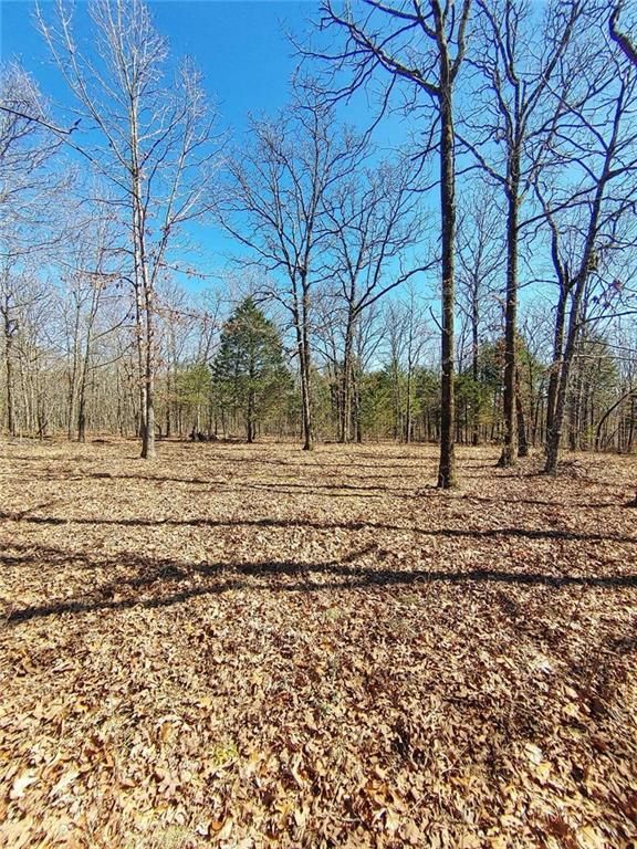 Starr Rd, Natural Dam, AR 72948 Trulia