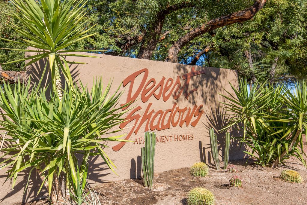 7425 N Mona Lisa Rd, Tucson, AZ 85741