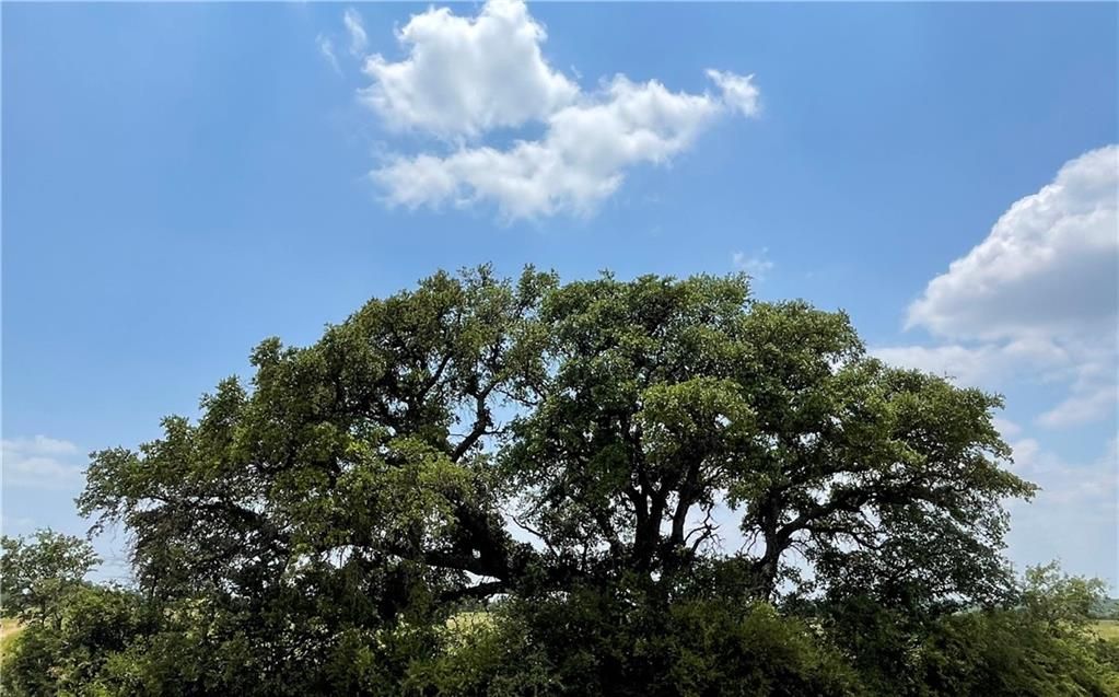 377 S Hwy, Brookesmith, TX 76827