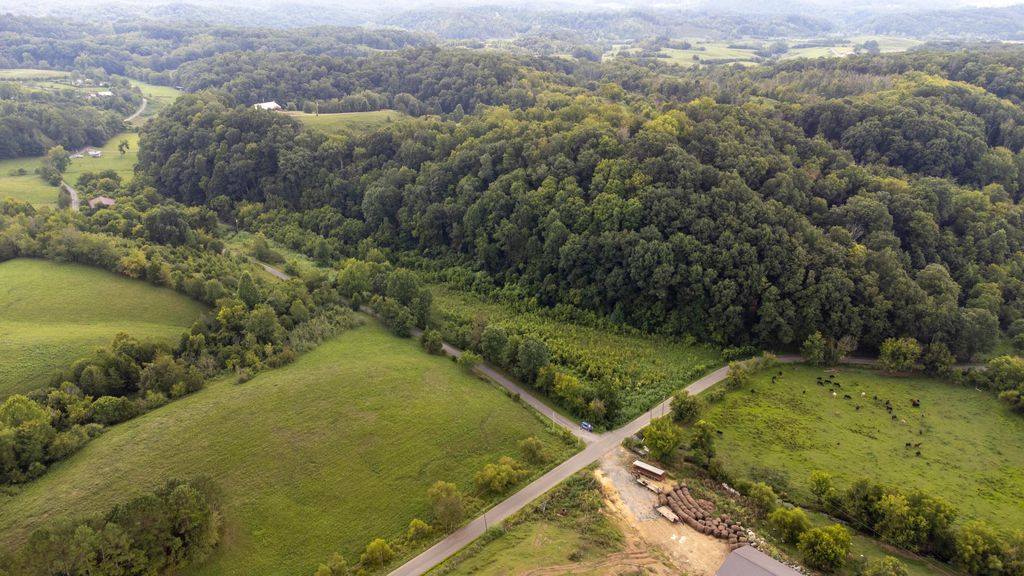 Carl Doty Rd, Afton, TN 37616 MLS 9942304 Trulia