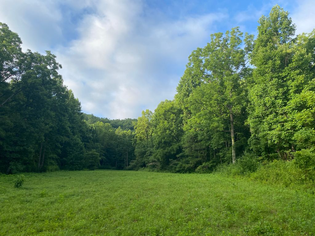 Lower Alarka Rd WP001, Bryson City, NC 28713 Trulia