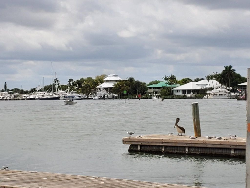 Apartments For Rent In Golden Gate Stuart Fl 5 Rentals Trulia