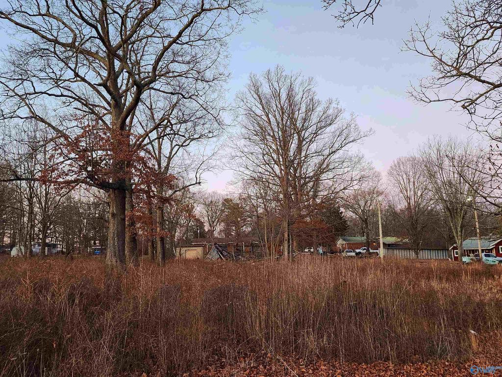 Nappier St, Rainsville, AL 35986 Trulia