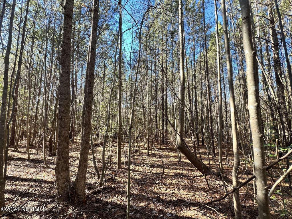 00 Highway 220 Road N, Ellerbe, NC 28338 MLS 100425353 Trulia