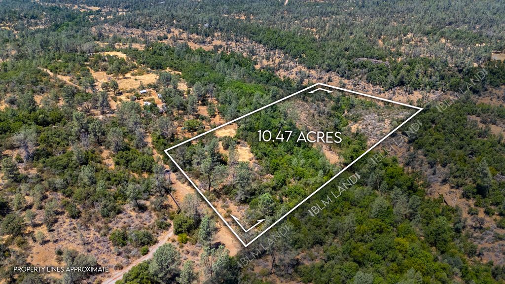 27010 Lack Creek Dr, Shingletown, CA 96088