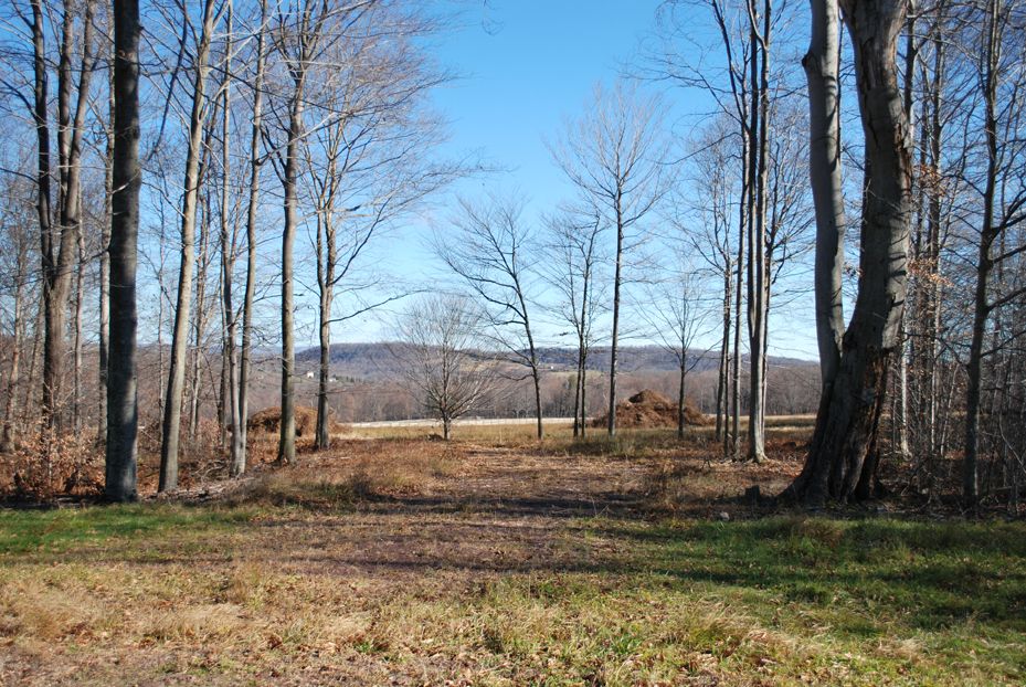 The Paddocks At Duck Hbr 6, Damascus, PA 18417 Trulia