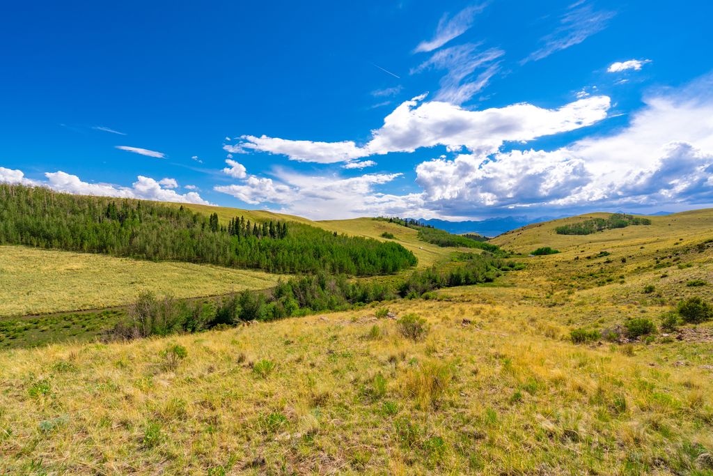 55 Little Horn Dr, Westcliffe, CO 81252 Trulia