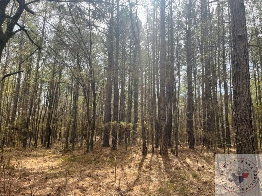 County Road 2105, Hooks, TX 75561 Trulia