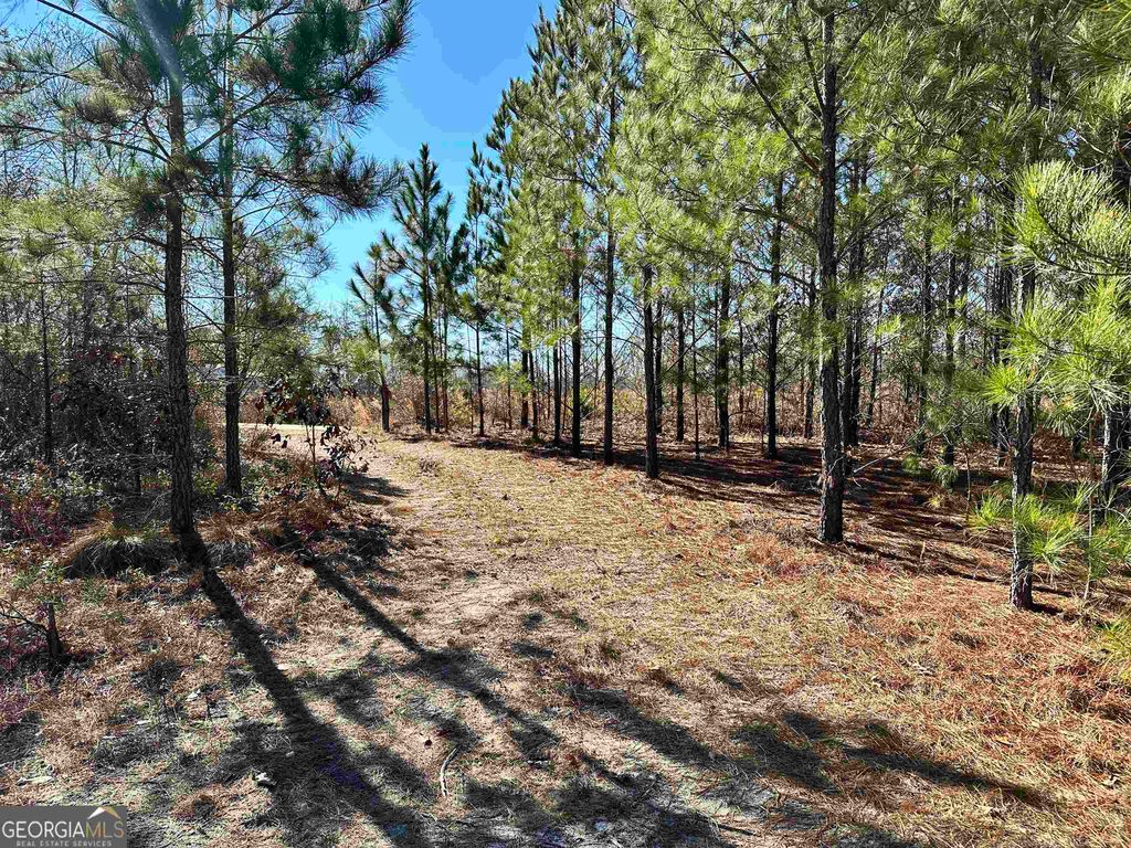 Bass Rd, Dexter, GA 31019 MLS 20166306 Trulia