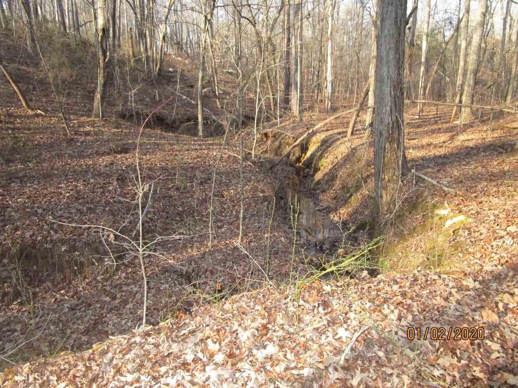 2219 2219 1 Yellow Creek Rd, Ball Ground, GA 30107 - Lot/Land - MLS