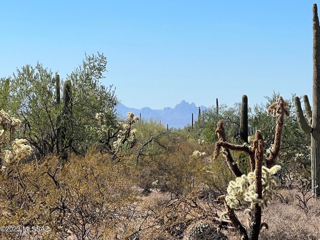 31XXX S Cattle Tank Rd, Marana, AZ 85658 Trulia