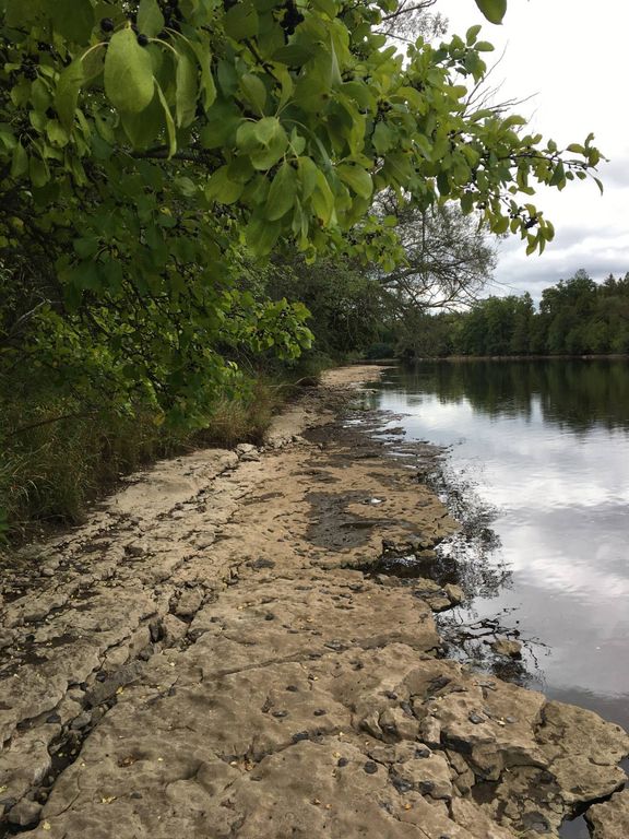 Stone Dr 8.00342., Black River, NY 13612 Trulia