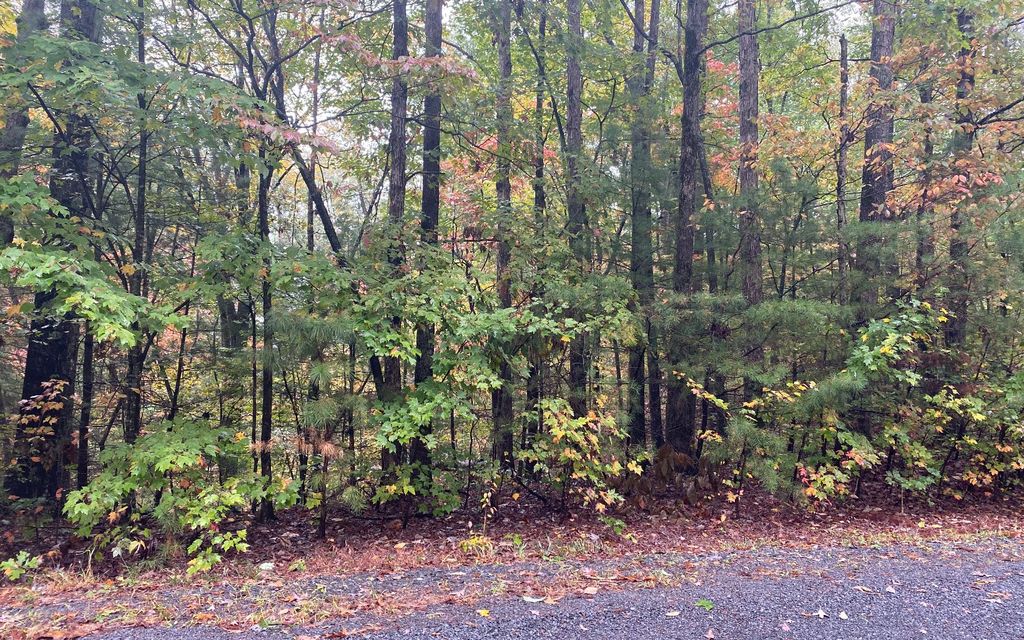 5 Crabapple Ln, Ellijay, GA 30540 Trulia