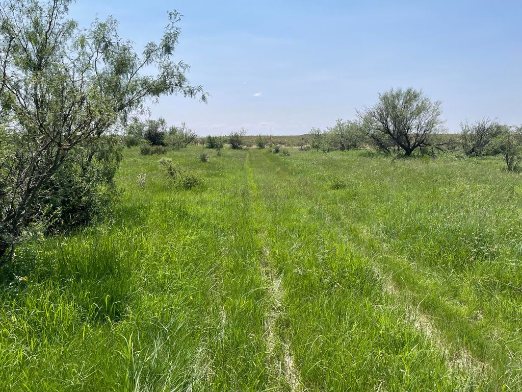 1036 Sec Psl Sierra Prieto 468, Sierra Blanca, TX 79851 Trulia