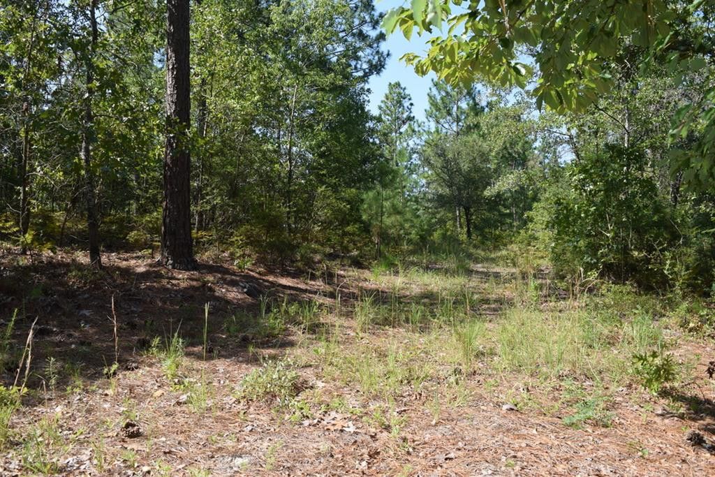 Lot 5 Fire Tower Rd, Aiken, SC 29803 Trulia