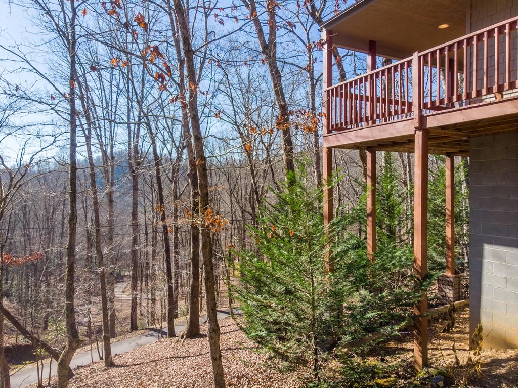 509 Trimont Mountain Rd, Franklin, NC 28734 2 Bed, 2 Bath Single