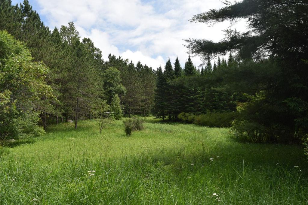 Cth D, Mattoon, WI 54450 Trulia