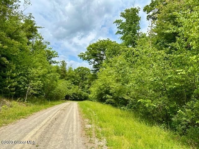L69 Old Ghost Road Lot 8, Canaan, NY 12029