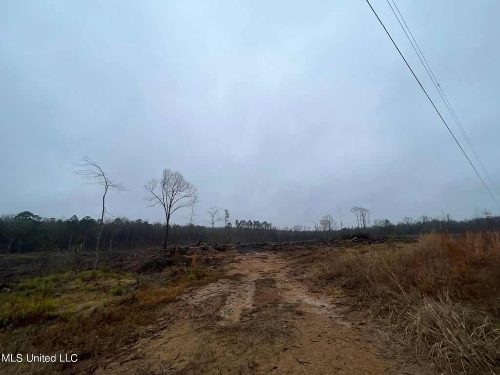 County Road 227, Coila, MS 38923 Trulia