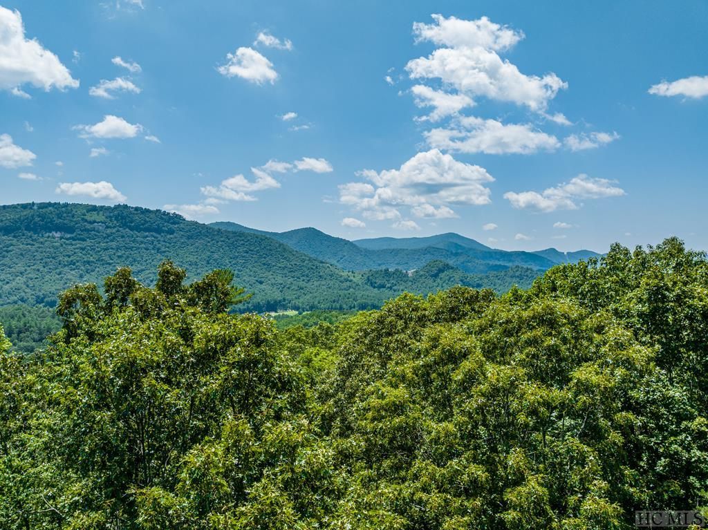Chastain Rd, Scaly Mountain, NC 28775