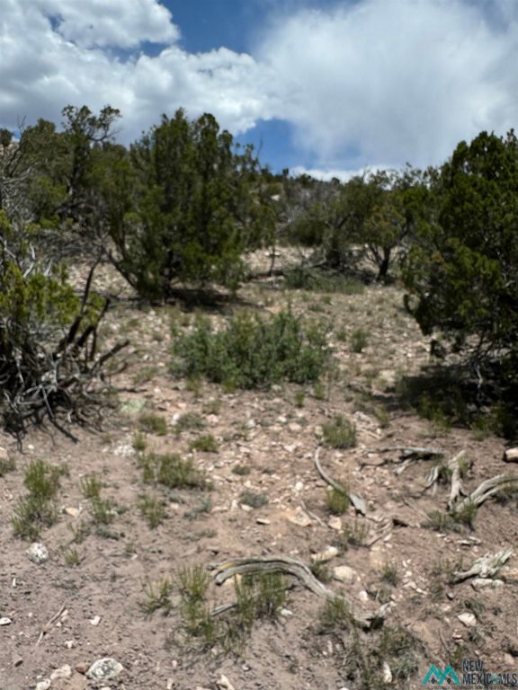 23 Seewald Ct, Thoreau, NM 87323 MLS 20245789 Trulia