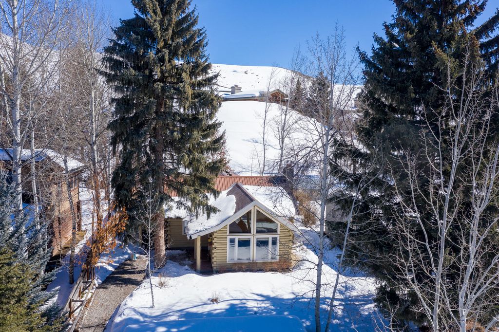 614 Leadville Ave S, Ketchum, ID 83340