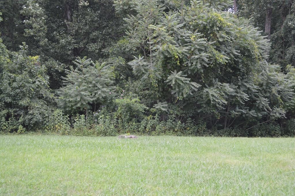 Desha Rd, Tappahannock, VA 22560 Trulia