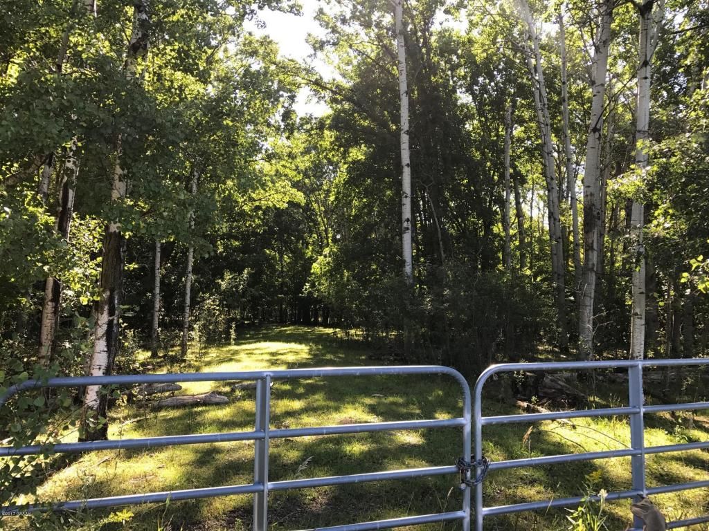 Xxxx 115th Ave, Eagle Bend, MN 56446 Trulia