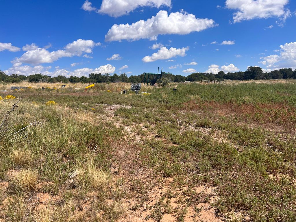 43 Magic Mist Rd, Moriarty, NM 87035