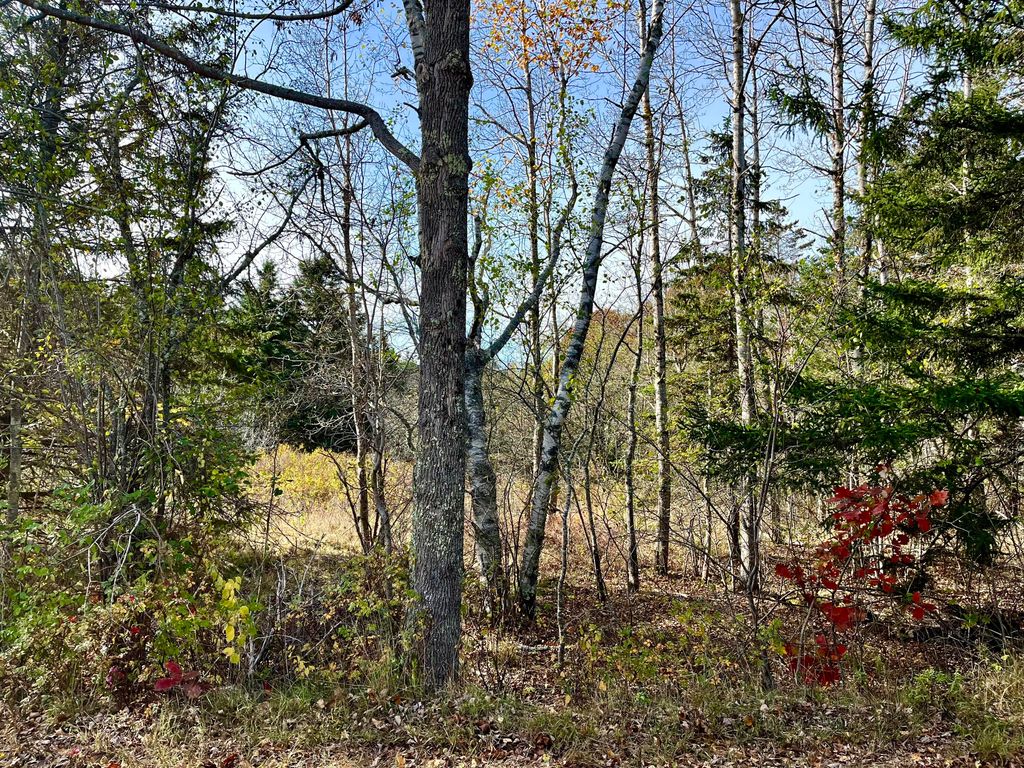 Lot 002 Hadley Point Road, Bar Harbor, ME 04609 Trulia