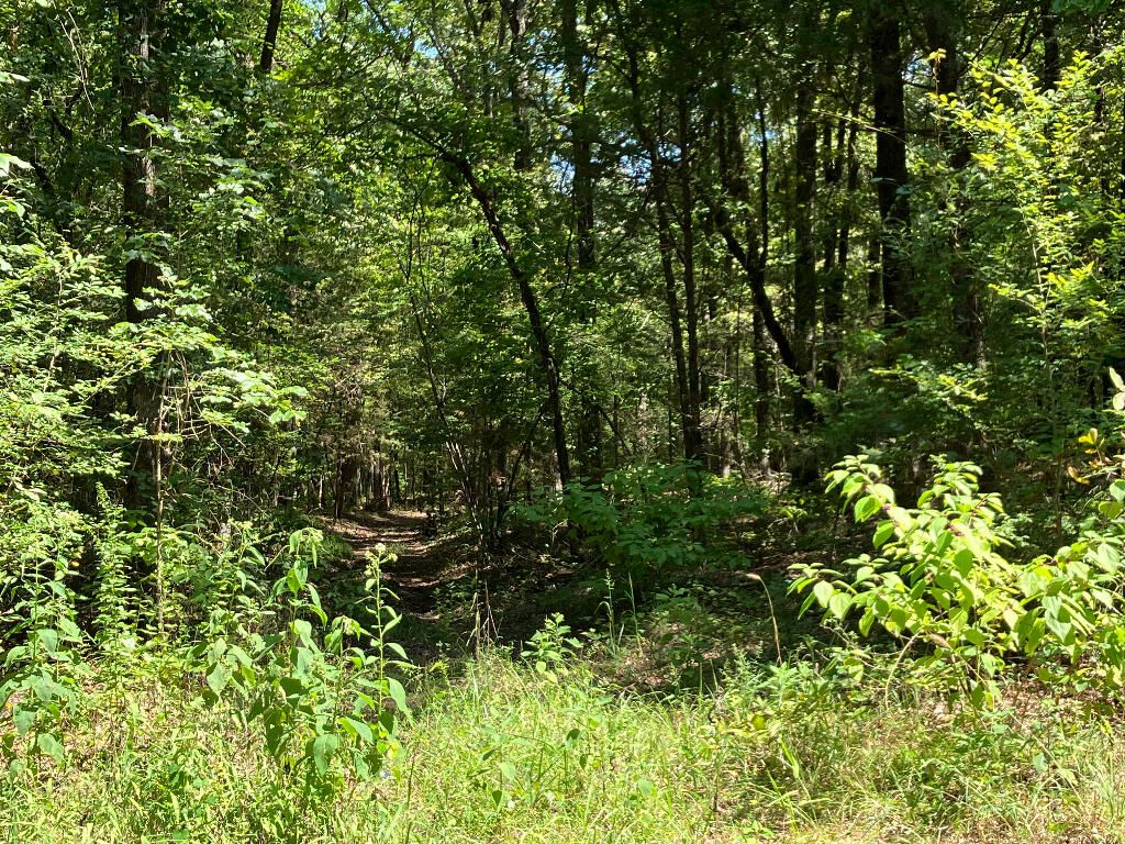 00108567000 County Rd, Hartman, AR 72840 Trulia