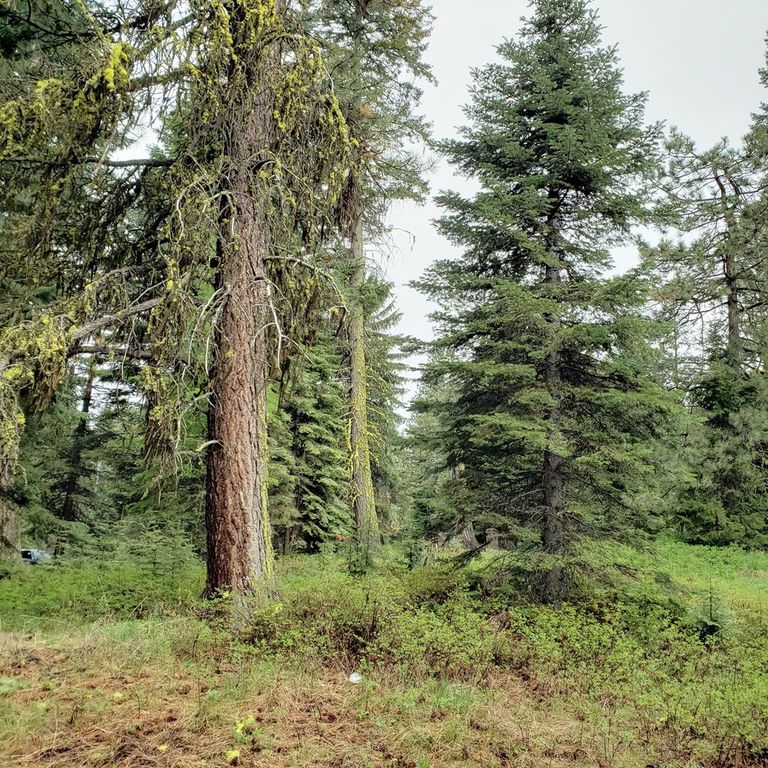 20 Andy Ln, Donnelly, ID 83615