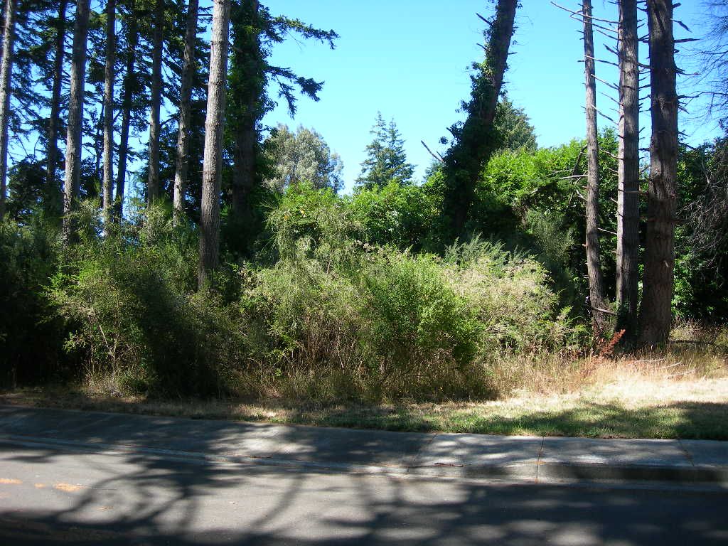 1ST St. SE, Bandon, OR 97411 Trulia