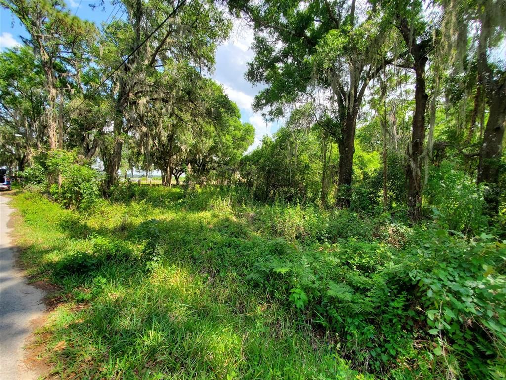 3879 Barnes Rd, Auburndale, FL 33823 Trulia
