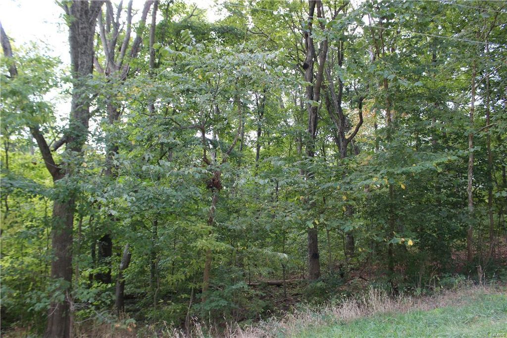 288 Rinderer Rd, Trenton, IL 62293 Trulia