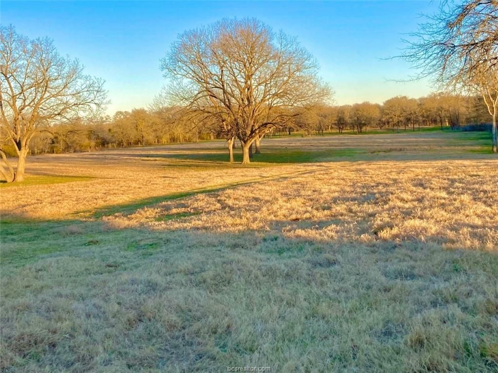 Leonard Rd, Bryan, TX 77807 Trulia