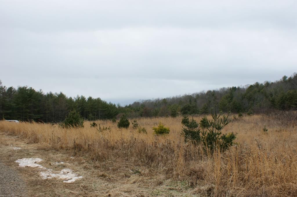 Tbd Petty Rd, Galax, VA 24333 Trulia