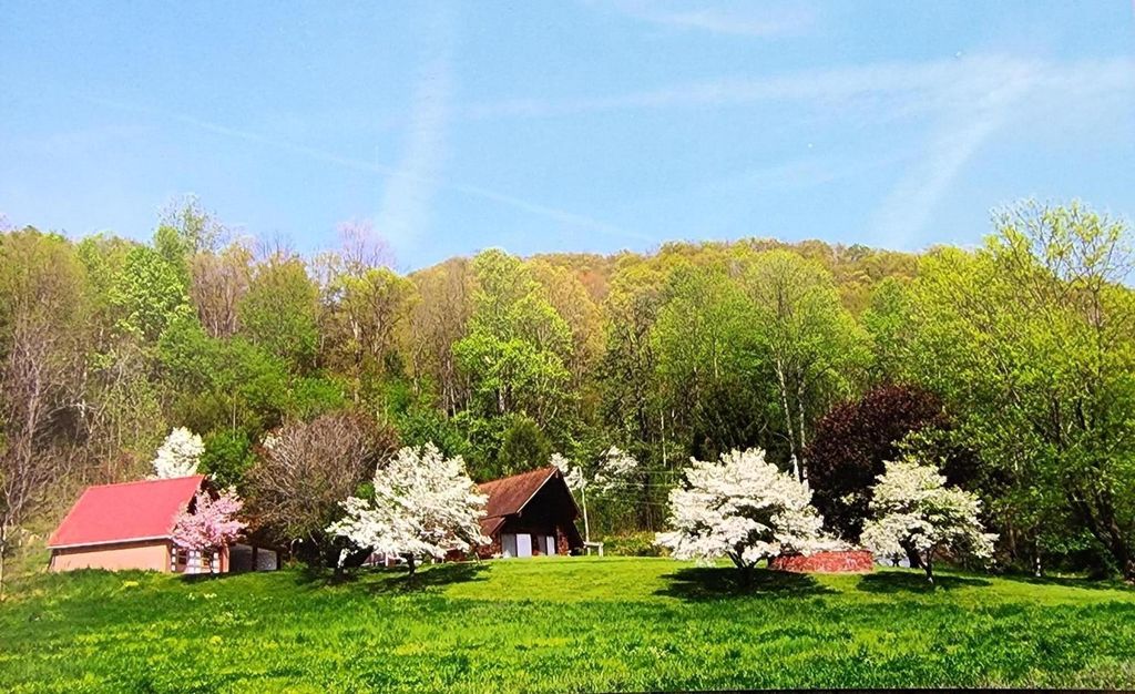 175 White St, Erwin, TN 37650 Trulia