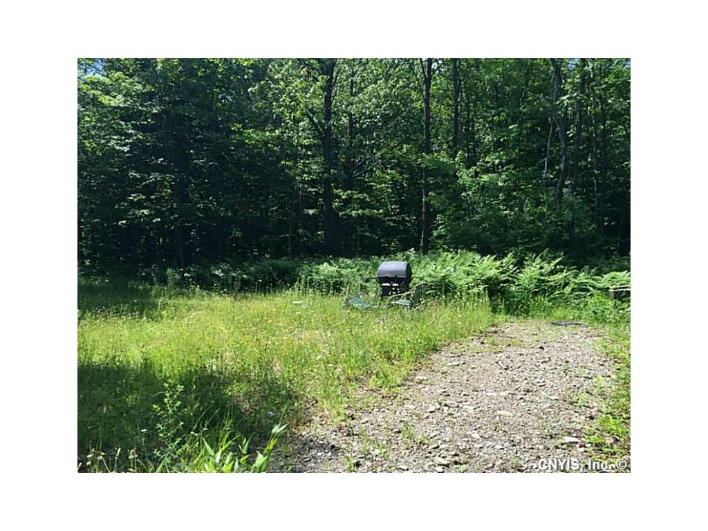 3 Old State Rd, Redfield, NY 13437 Trulia