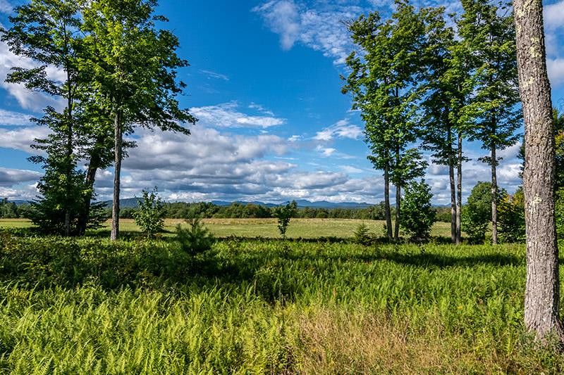 County Route 18, Saranac Lake, NY 12983 | Trulia