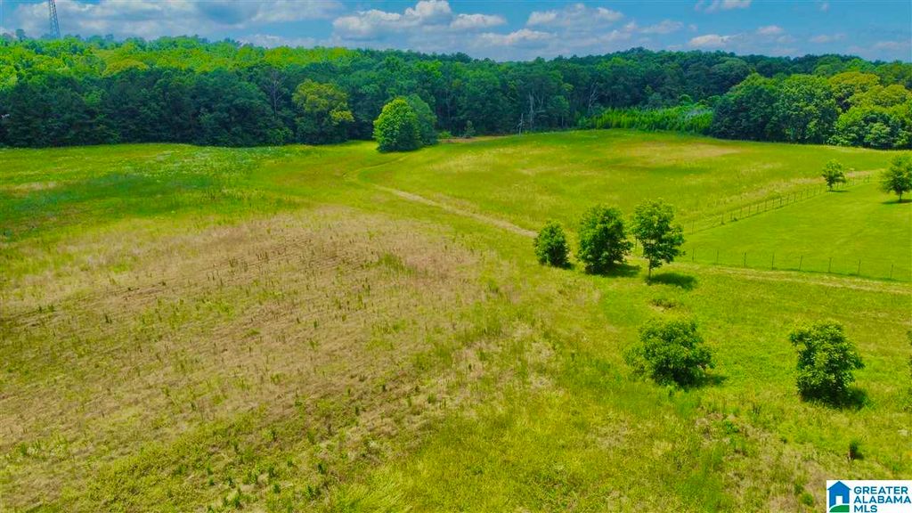 185 Ball Park Rd, Wilsonville, AL 35186