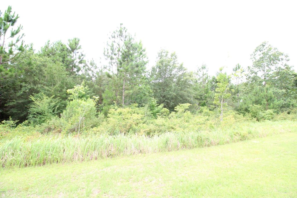 Lot 40 Blue Lakes Dr, Lucedale, MS 39452