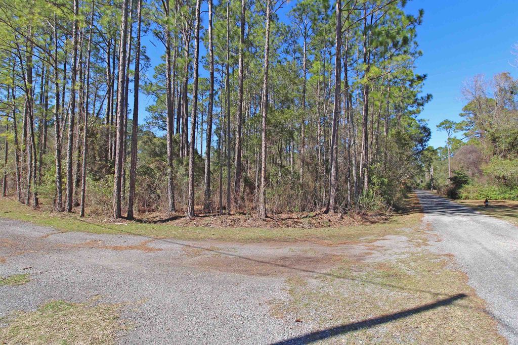 Xx Buckhorn Creek Rd, Sopchoppy, FL 32358 MLS 368703 Trulia